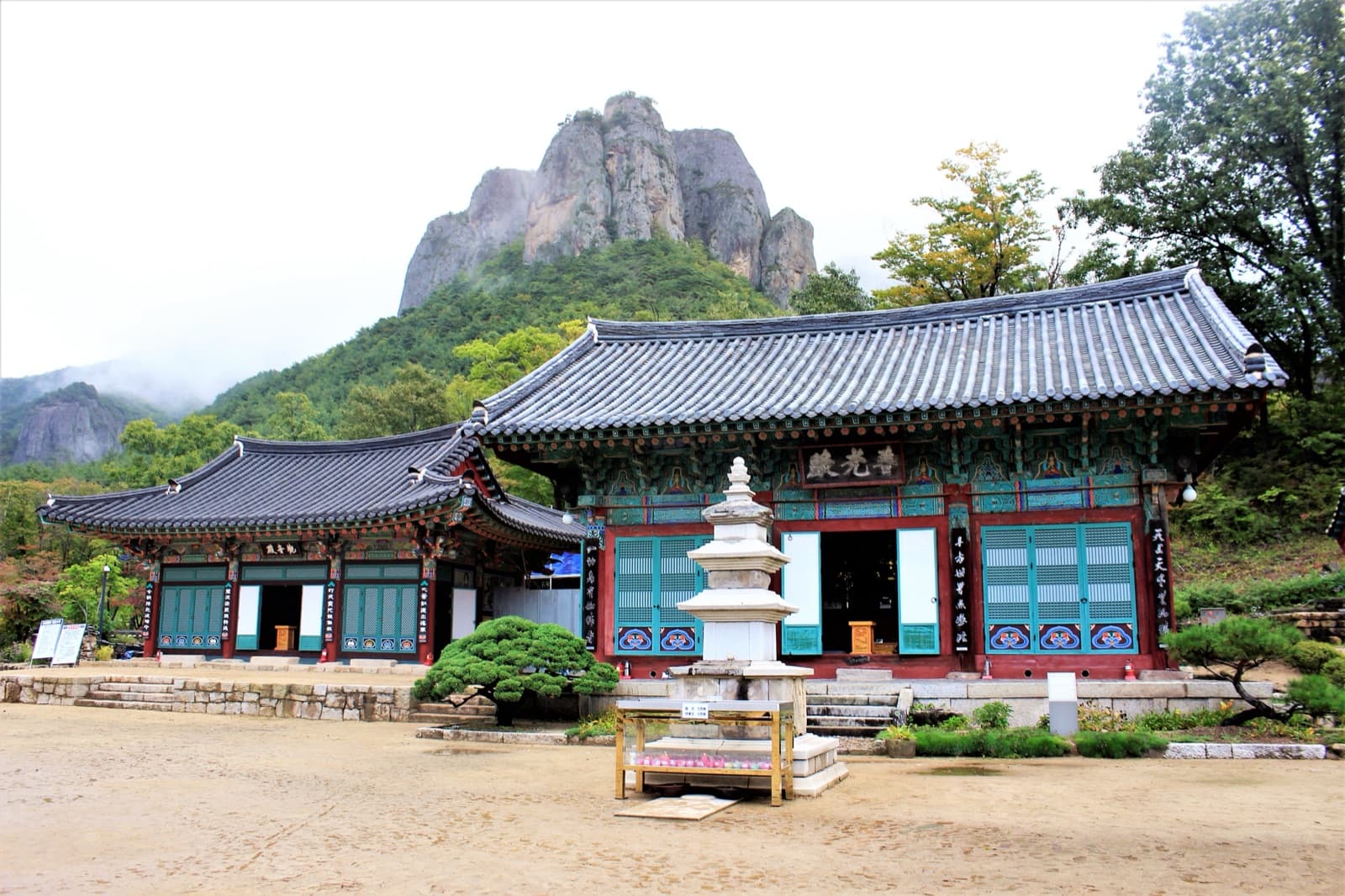 Cheongsong Apple Festival