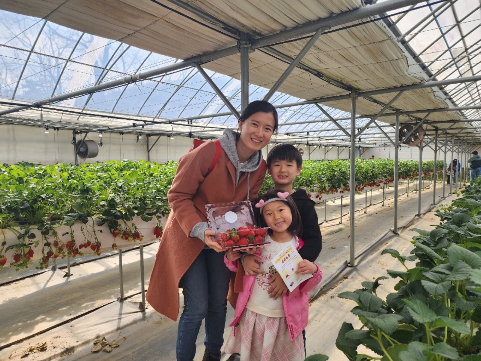 Nonsan Strawberry Festival