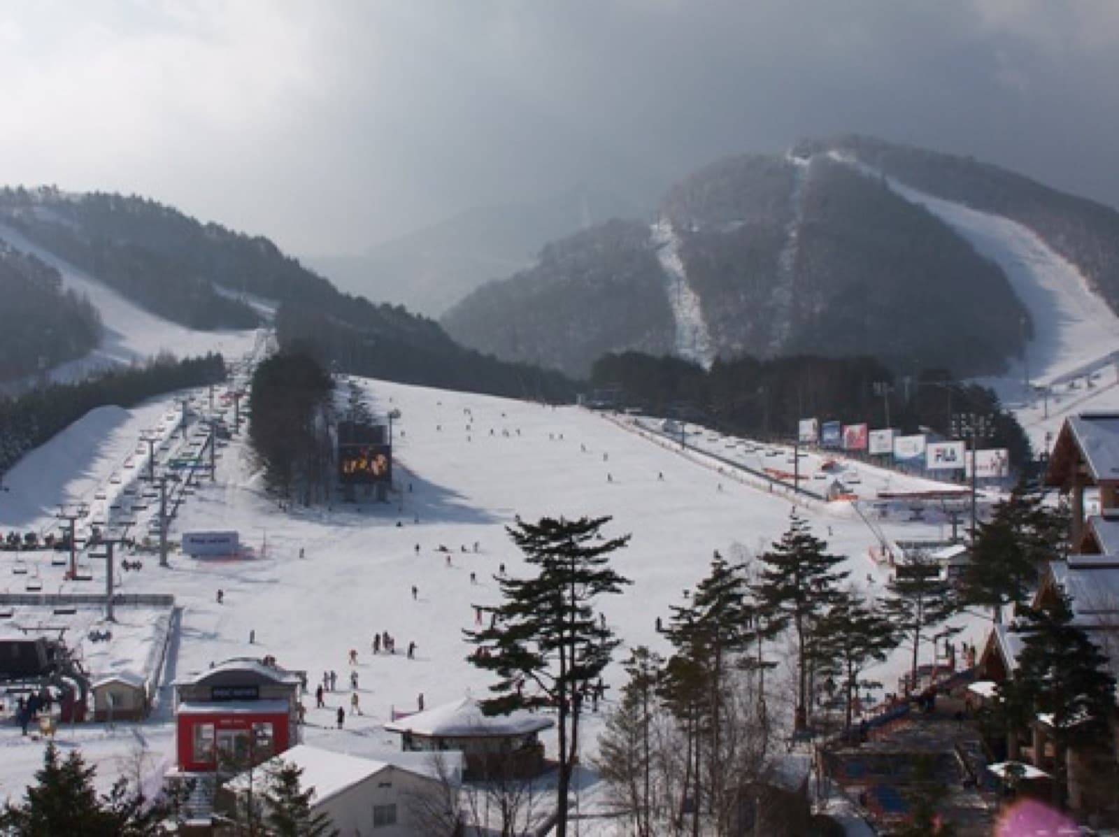 Pyeongchang Trout Festival