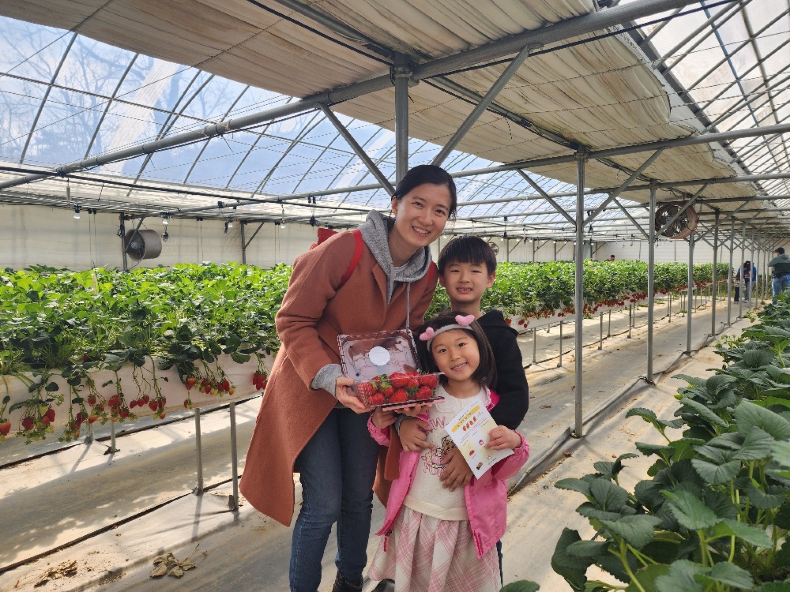 Nonsan Strawberry Festival